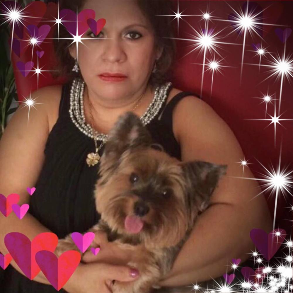 Meet your Posher, Amada